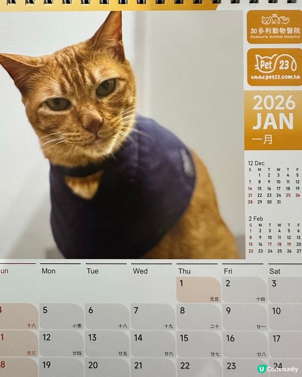 🐶💖 香港寵物店真心推薦