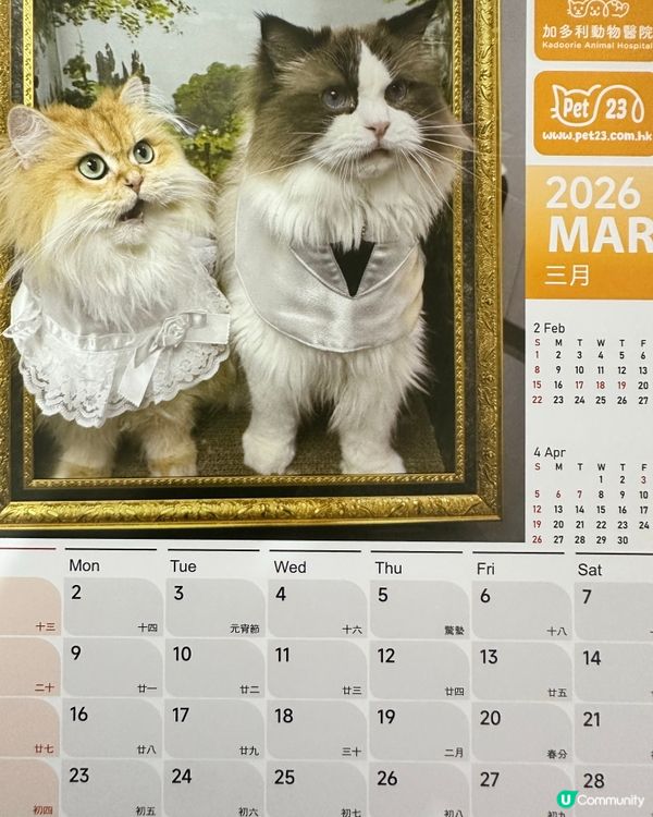 🐶💖 香港寵物店真心推薦