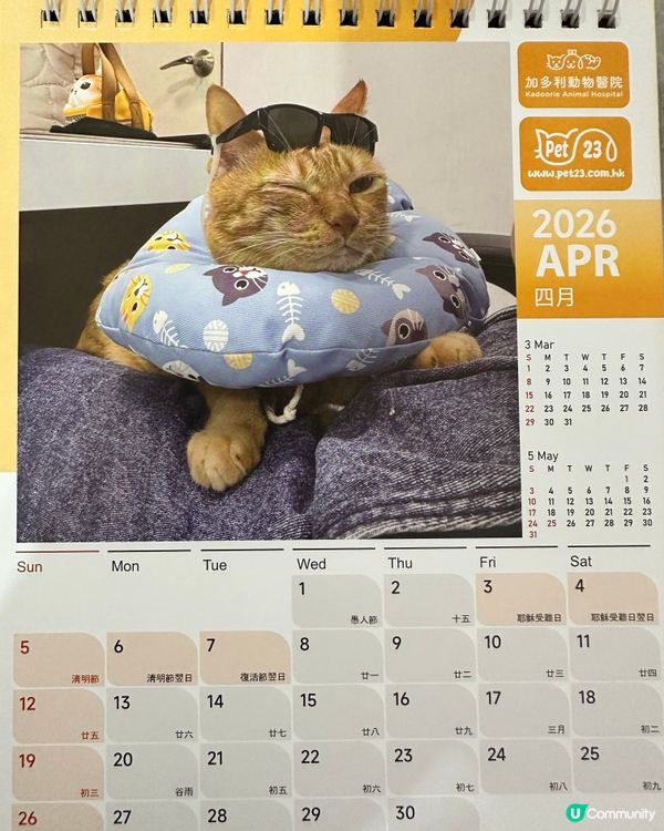 🐶💖 香港寵物店真心推薦