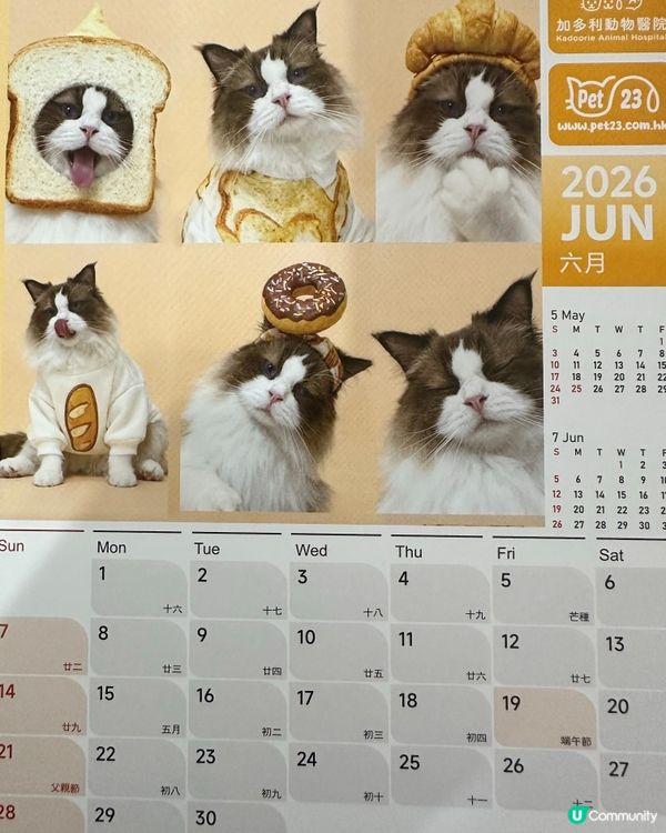 🐶💖 香港寵物店真心推薦