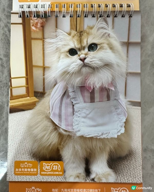 🐶💖 香港寵物店真心推薦