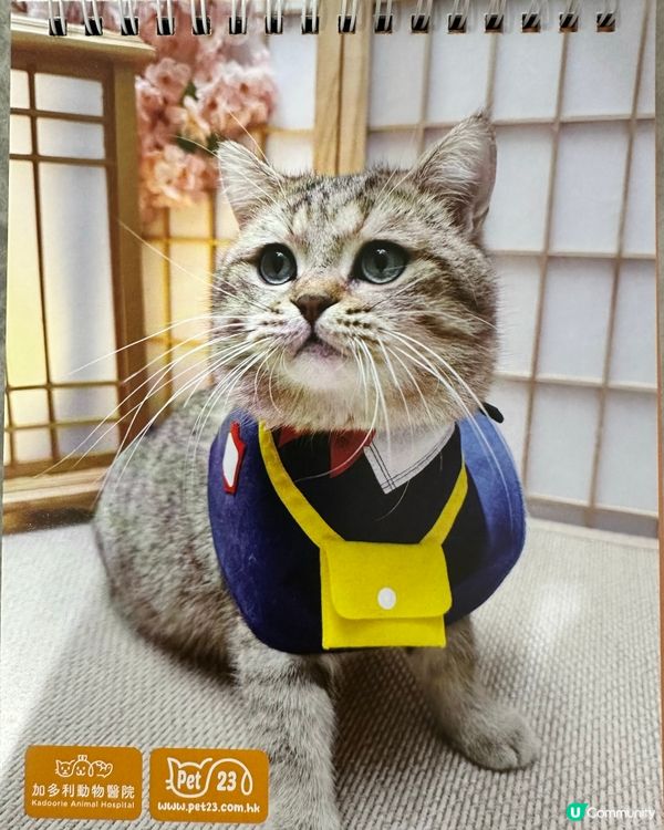 🐶💖 香港寵物店真心推薦