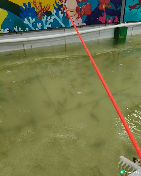 深夜釣蝦過手癮，收穫的從來不是蝦