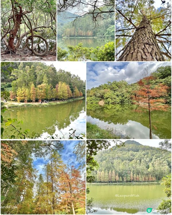 流水響📸又到了打卡時候❣️