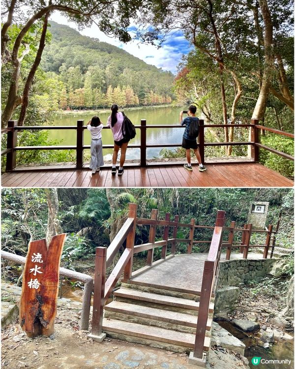 流水響📸又到了打卡時候❣️