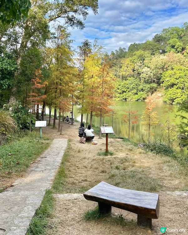 流水響📸又到了打卡時候❣️