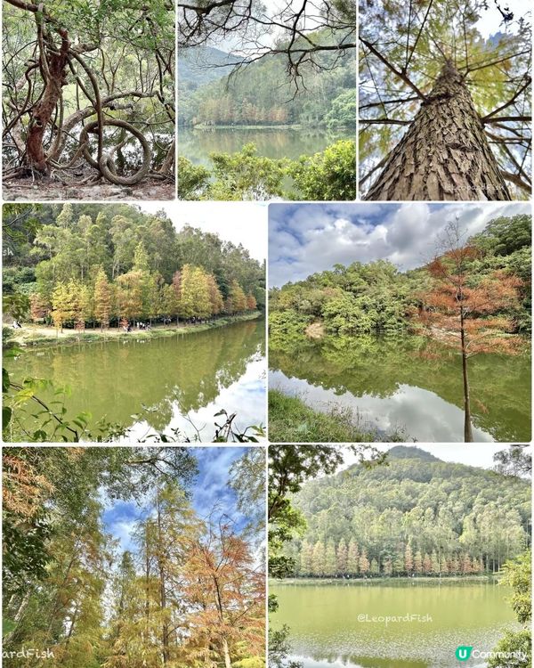 流水響📸又到了打卡的時候❣️