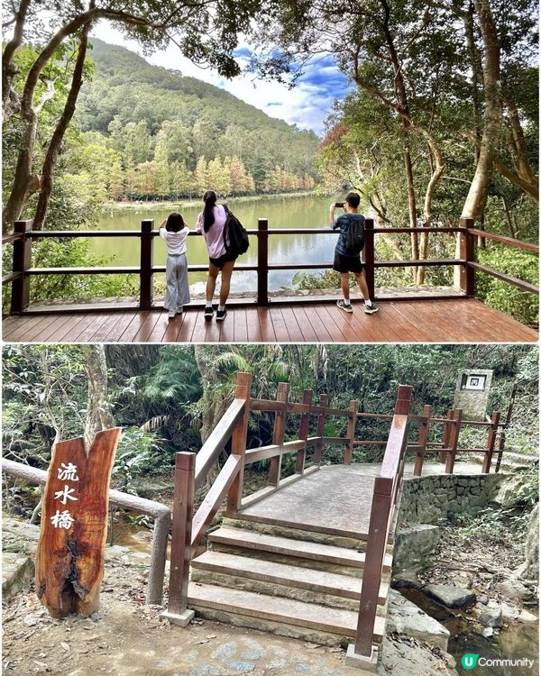 流水響📸又到了打卡的時候❣️