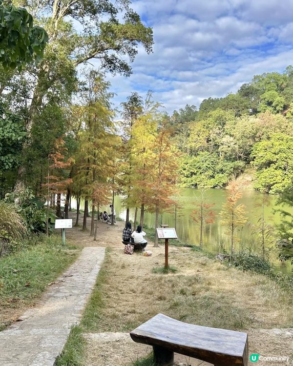 流水響📸又到了打卡的時候❣️