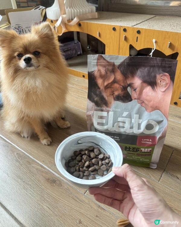 挑嘴狗也會喜歡｜Elato杜莎 ED3成犬低敏配方－嫩羊野鹿