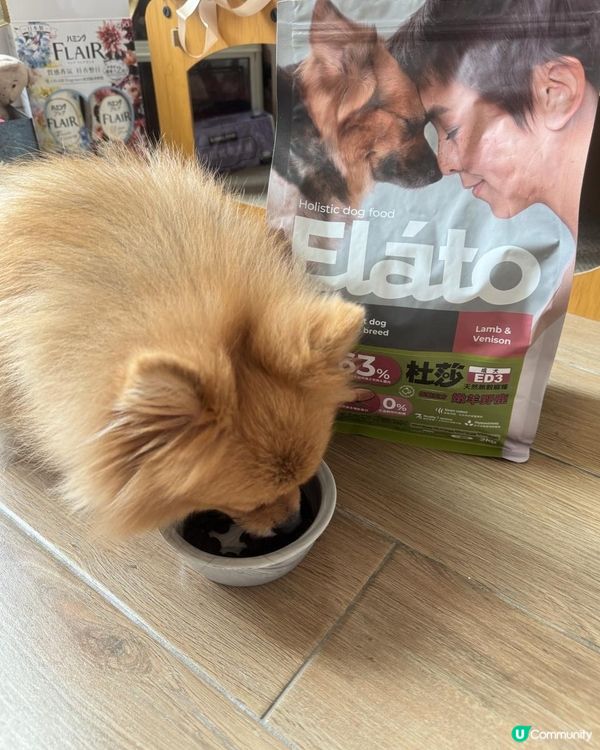 挑嘴狗也會喜歡｜Elato杜莎 ED3成犬低敏配方－嫩羊野鹿