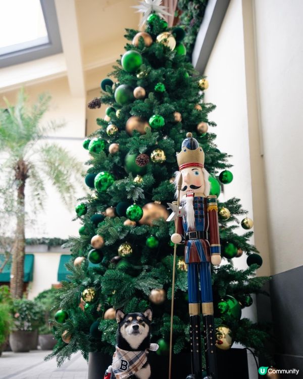 聖誕打卡好去處｜淺水灣影灣園