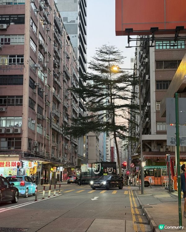法式油封鴨飯🤤！荔枝角慢食打卡📸