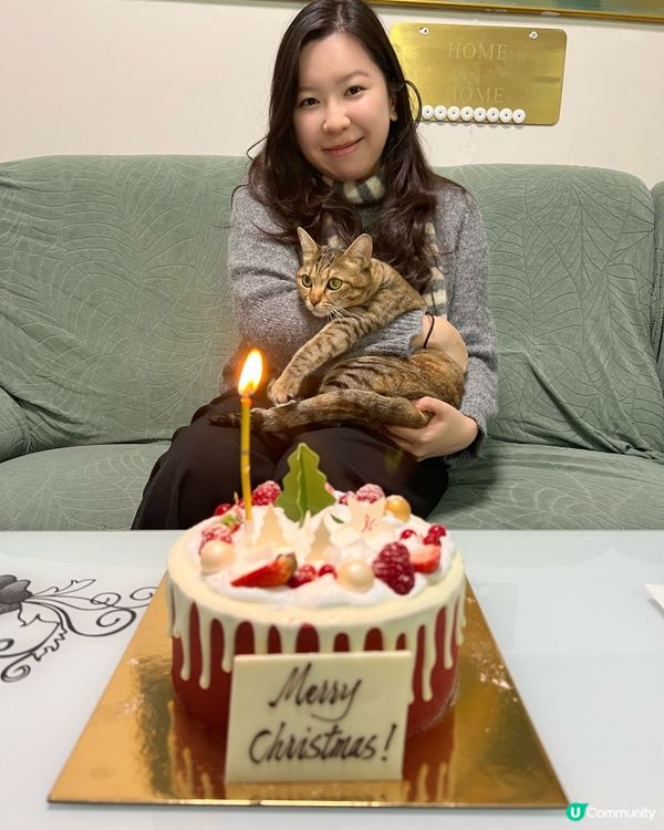 agnès b. 聖誕蛋糕🎂🎄