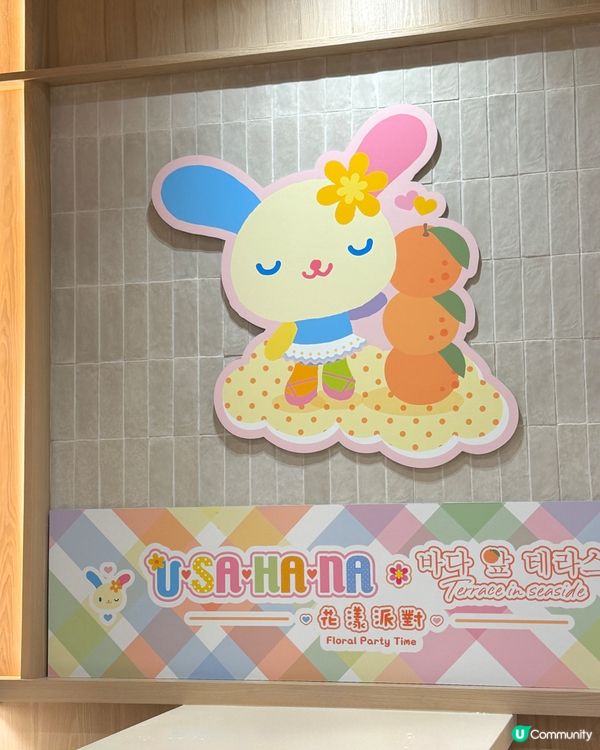 🧡🫧全港首個 Usahana 期間限定主題餐廳🫧🧡