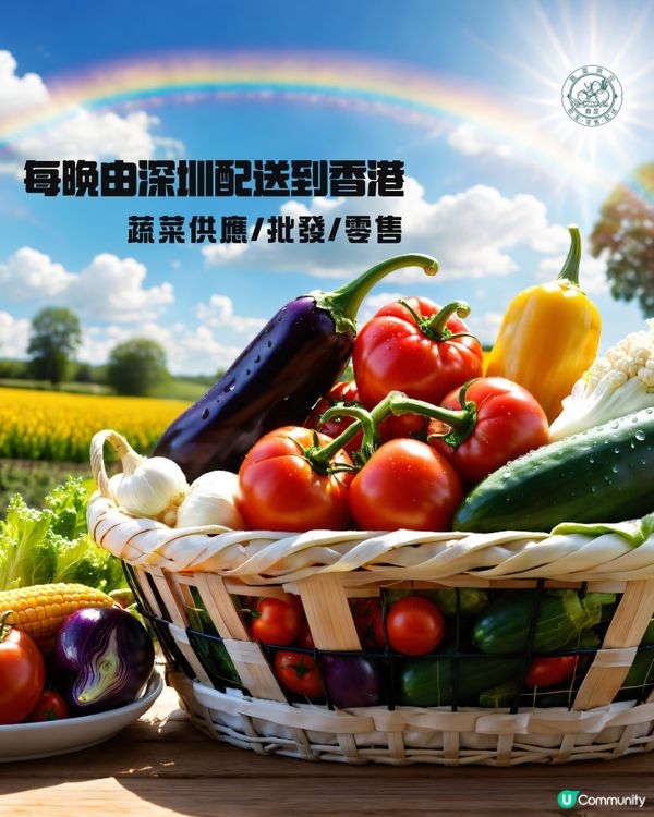 內地全國蔬菜/批發/零售/運送！深圳出發香港，每日都可安排！