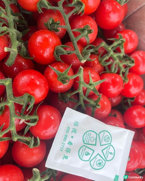 內地全國蔬菜/批發/零售/運送！深圳出發香港，每日都可安排！