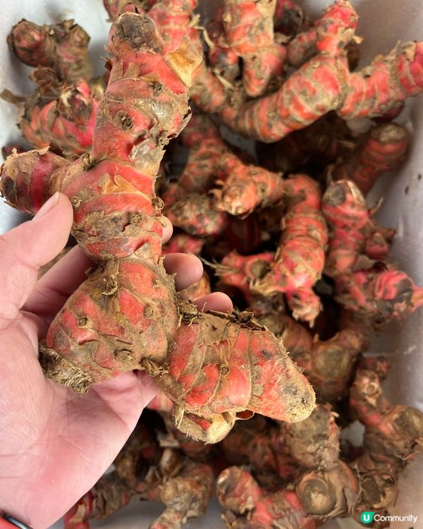 內地全國蔬菜/批發/零售/運送！深圳出發香港，每日都可安排！