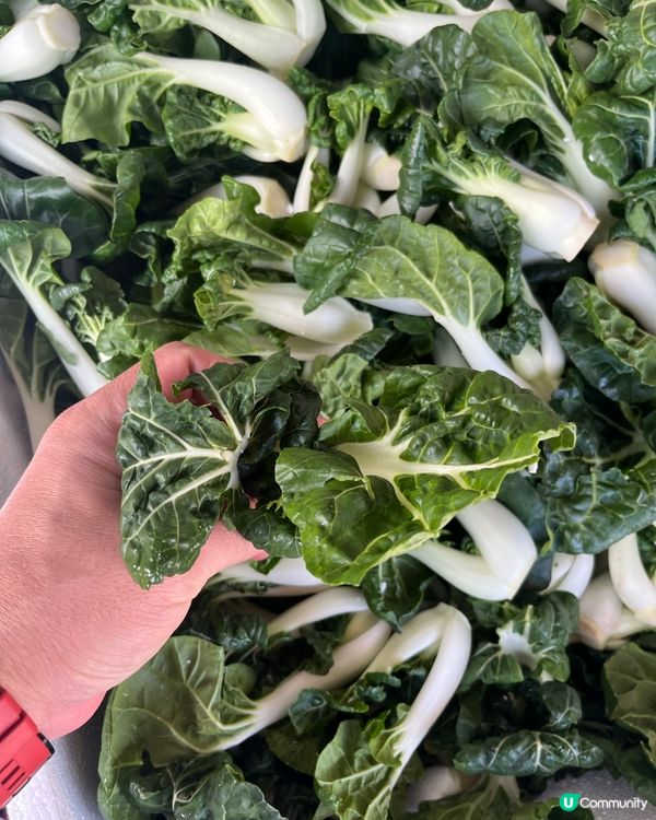 內地全國蔬菜/批發/零售/運送！深圳出發香港，每日都可安排！