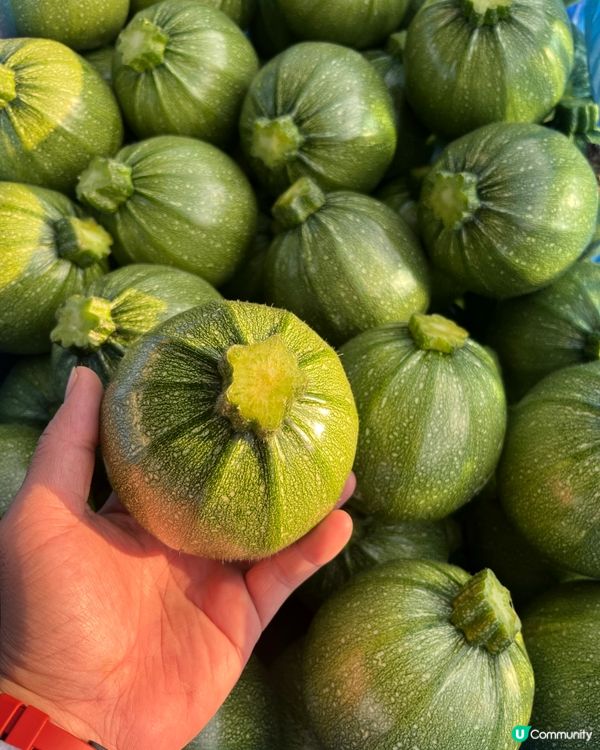 內地全國蔬菜/批發/零售/運送！深圳出發香港，每日都可安排！
