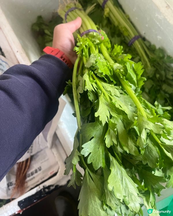 內地全國蔬菜/批發/零售/運送！深圳出發香港，每日都可安排！