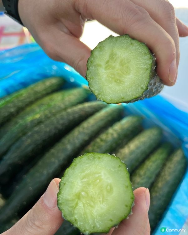 內地全國蔬菜/批發/零售/運送！深圳出發香港，每日都可安排！