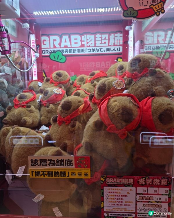 夾公仔尋寶記！黃埔店等你嚟玩🤩