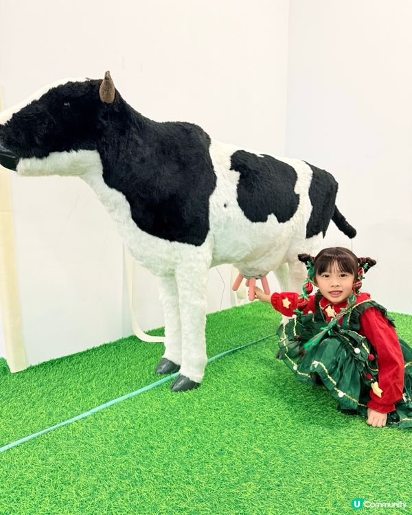 聖誕假放電好去處