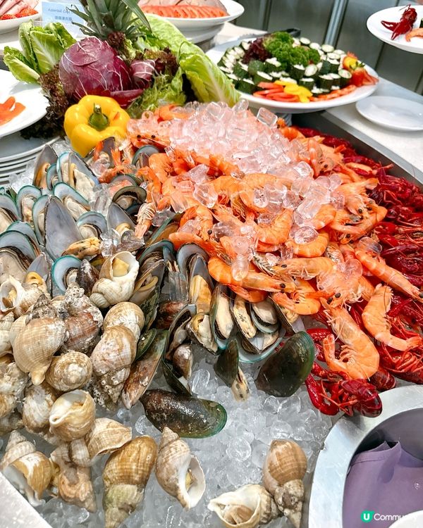 🎄維港可愛lulu豬聖誕遊船河！📸🚢✨