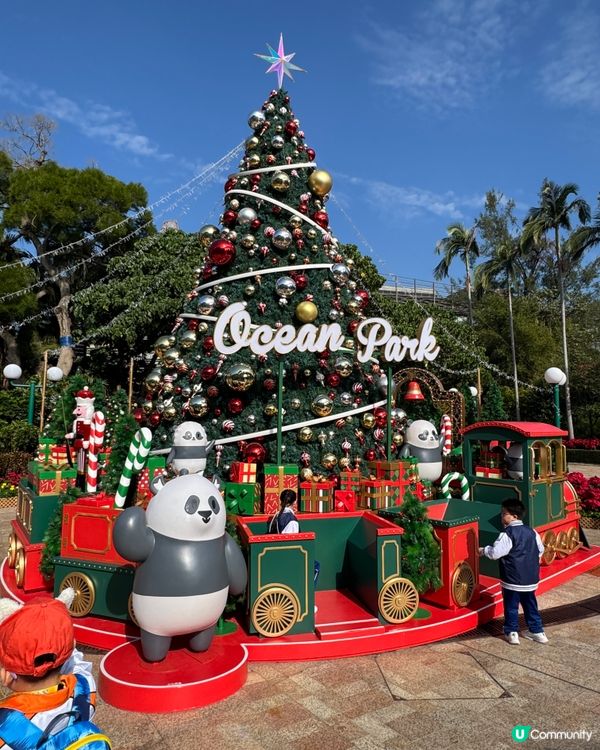 海洋公園聖誕🐼之旅🩵🩵