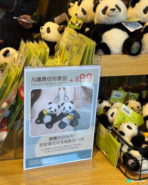 海洋公園聖誕🐼之旅🩵🩵