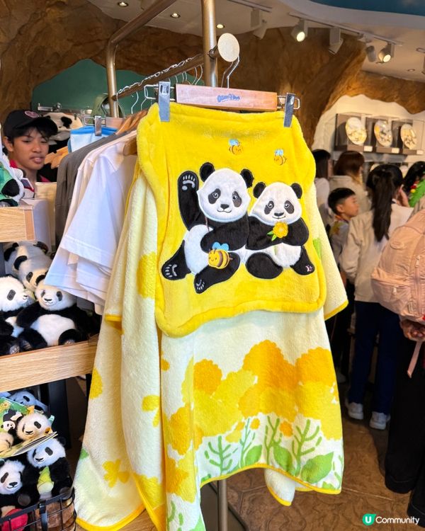 海洋公園聖誕🐼之旅🩵🩵