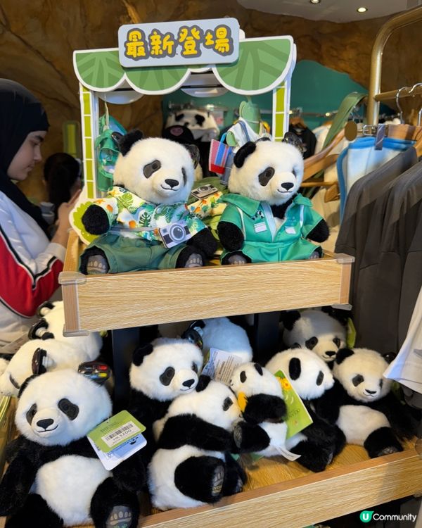 海洋公園聖誕🐼之旅🩵🩵