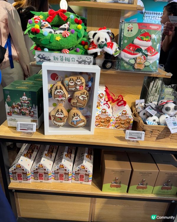 海洋公園聖誕🐼之旅🩵🩵