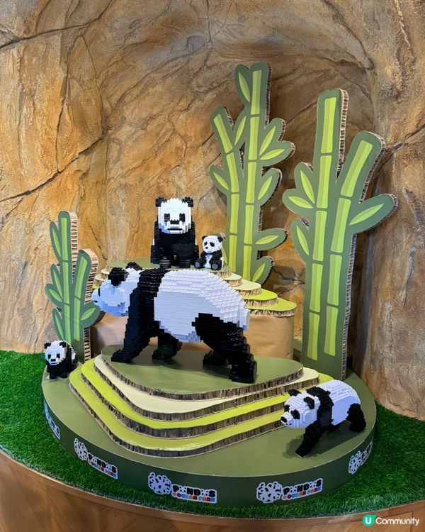 海洋公園聖誕🐼之旅🩵🩵