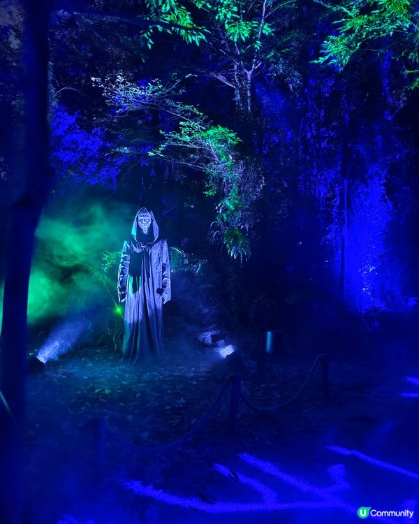 最新！深圳親子好去處🪄哈利波特體驗館