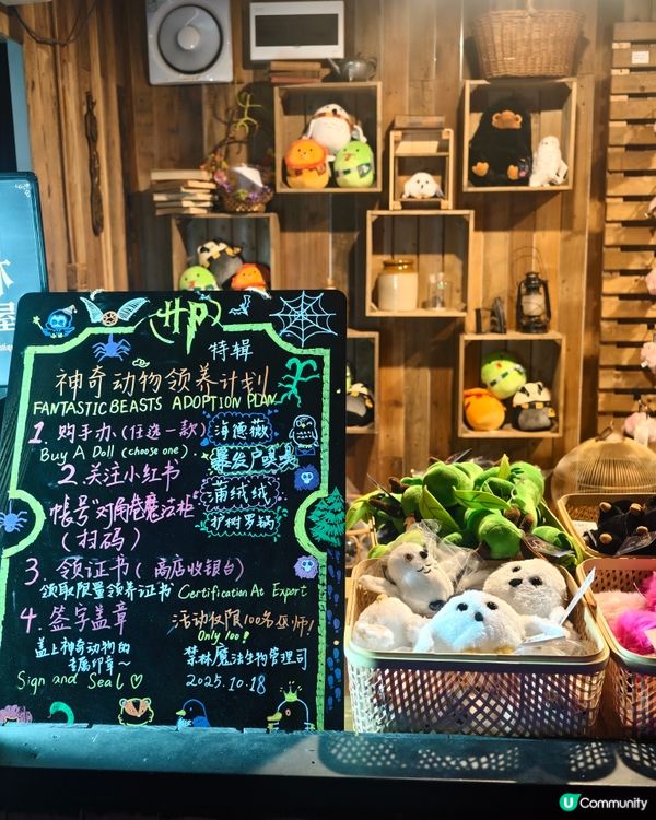 最新！深圳親子好去處🪄哈利波特體驗館