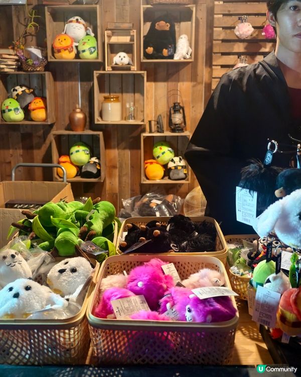 最新！深圳親子好去處🪄哈利波特體驗館