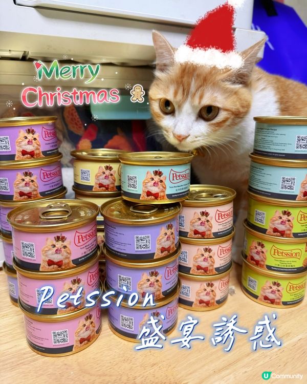 貓貓聖誕大餐！🤤 