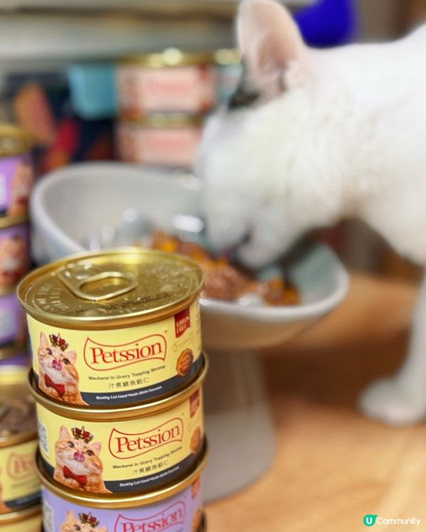 貓貓聖誕大餐！🤤 