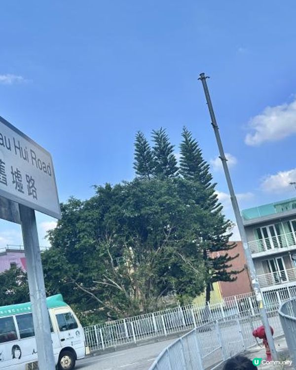 親子郊遊｜南生圍｜橫水渡🛶 蘆葦草叢🌾 赤桉樹步道🌳 大草地🌱 婚紗橋📸 炭燒豆腐花😋