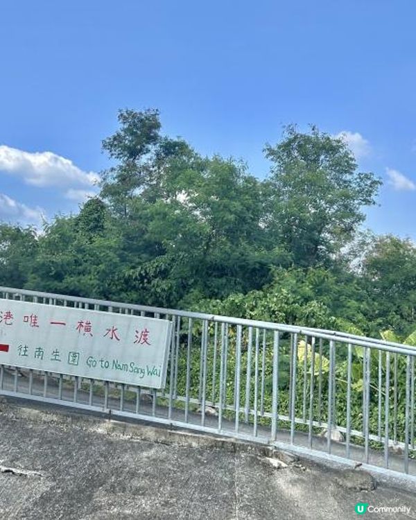 親子郊遊｜南生圍｜橫水渡🛶 蘆葦草叢🌾 赤桉樹步道🌳 大草地🌱 婚紗橋📸 炭燒豆腐花😋