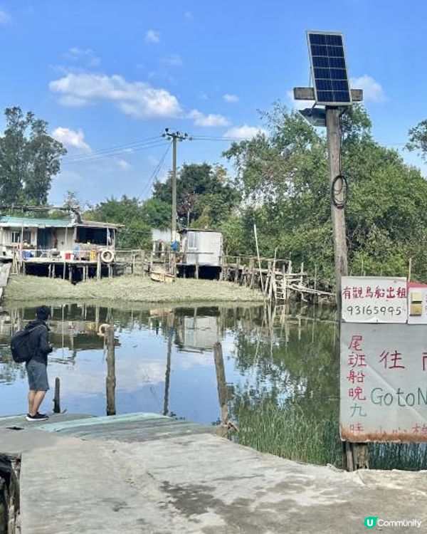親子郊遊｜南生圍｜橫水渡🛶 蘆葦草叢🌾 赤桉樹步道🌳 大草地🌱 婚紗橋📸 炭燒豆腐花😋