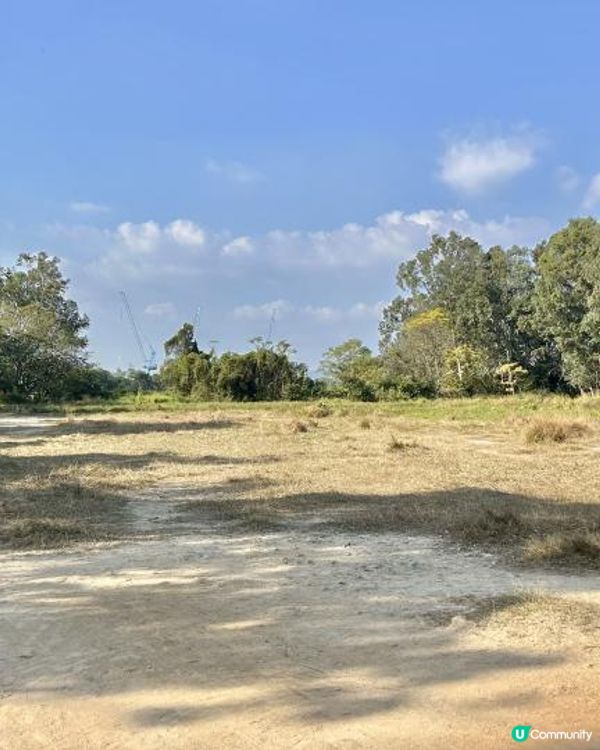 親子郊遊｜南生圍｜橫水渡🛶 蘆葦草叢🌾 赤桉樹步道🌳 大草地🌱 婚紗橋📸 炭燒豆腐花😋