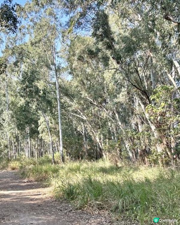 親子郊遊｜南生圍｜橫水渡🛶 蘆葦草叢🌾 赤桉樹步道🌳 大草地🌱 婚紗橋📸 炭燒豆腐花😋