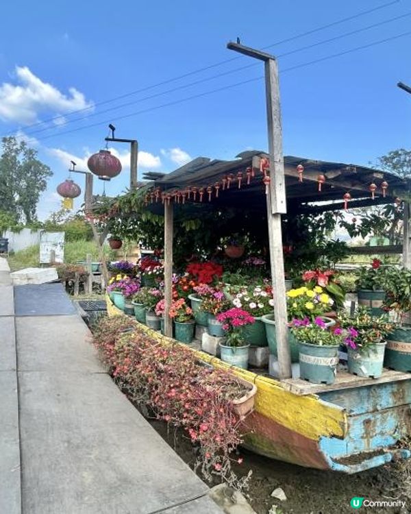 親子郊遊｜南生圍｜橫水渡🛶 蘆葦草叢🌾 赤桉樹步道🌳 大草地🌱 婚紗橋📸 炭燒豆腐花😋