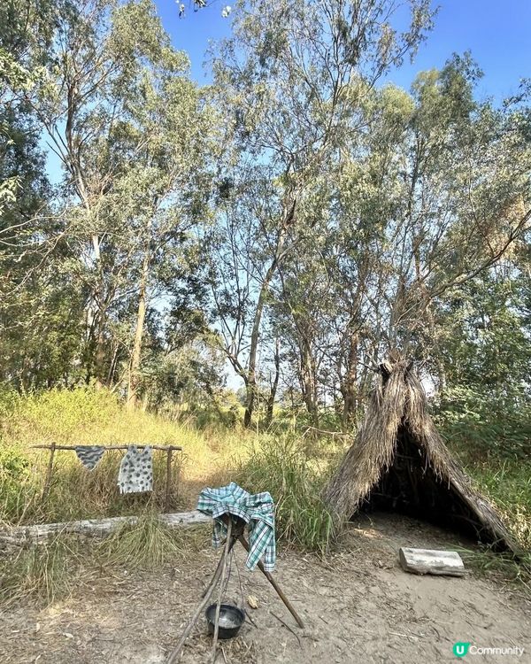 親子郊遊｜南生圍｜橫水渡🛶 蘆葦草叢🌾 赤桉樹步道🌳 大草地🌱 婚紗橋📸 炭燒豆腐花😋