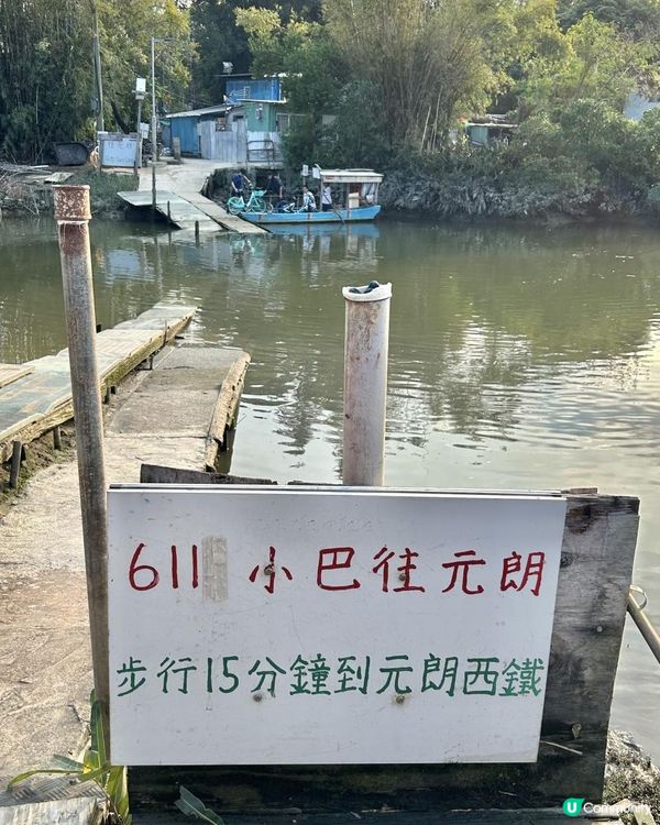親子郊遊｜南生圍｜橫水渡🛶 蘆葦草叢🌾 赤桉樹步道🌳 大草地🌱 婚紗橋📸 炭燒豆腐花😋