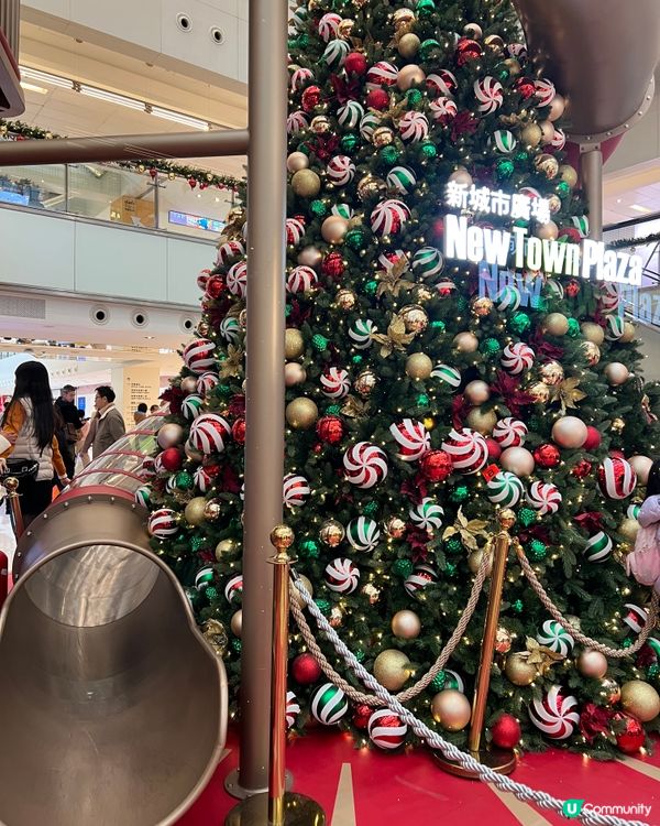 沙田聖誕馬戲團嘉年華🎪！打卡攻略📸！