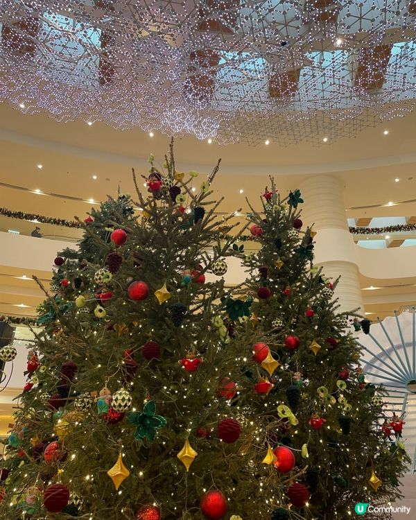 香港聖誕隨心遊（三）🎄